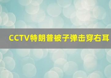 CCTV特朗普被子弹击穿右耳