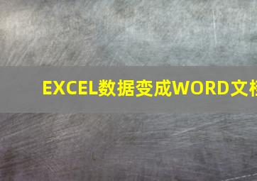 EXCEL数据变成WORD文档