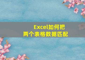 Excel如何把两个表格数据匹配