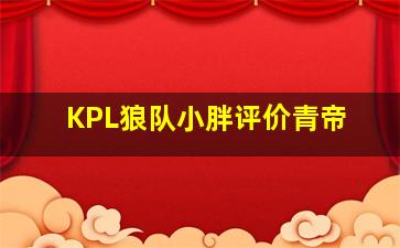 KPL狼队小胖评价青帝