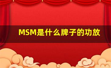 MSM是什么牌子的功放