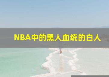 NBA中的黑人血统的白人