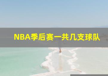 NBA季后赛一共几支球队