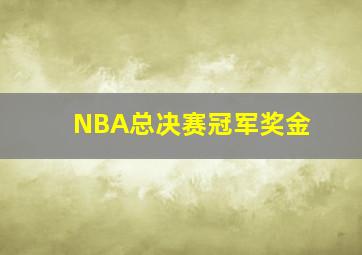 NBA总决赛冠军奖金