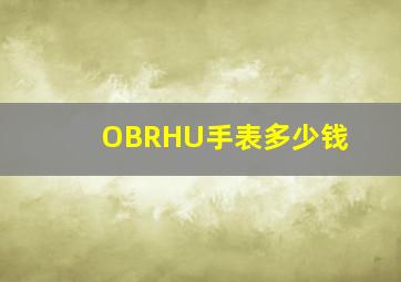 OBRHU手表多少钱