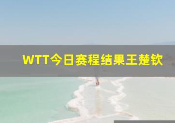 WTT今日赛程结果王楚钦