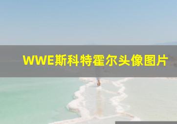 WWE斯科特霍尔头像图片