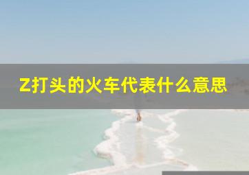 Z打头的火车代表什么意思