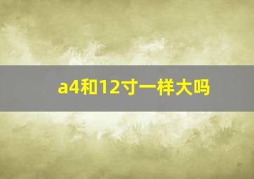 a4和12寸一样大吗