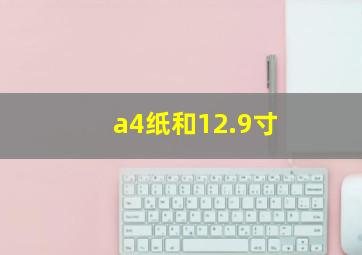 a4纸和12.9寸