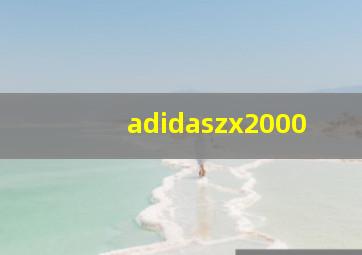 adidaszx2000