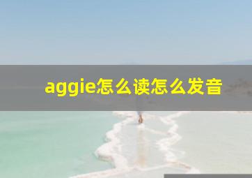 aggie怎么读怎么发音