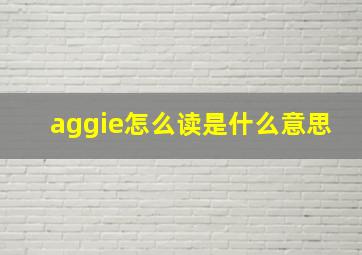 aggie怎么读是什么意思