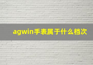 agwin手表属于什么档次