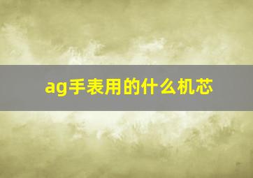 ag手表用的什么机芯