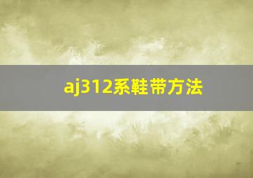 aj312系鞋带方法