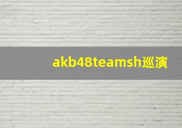 akb48teamsh巡演