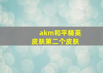 akm和平精英皮肤第二个皮肤