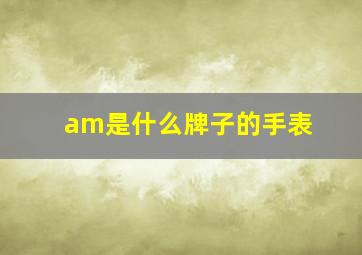 am是什么牌子的手表