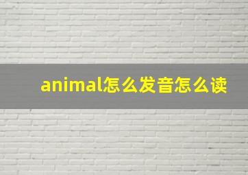 animal怎么发音怎么读