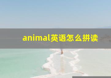 animal英语怎么拼读