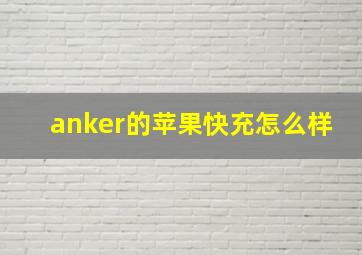 anker的苹果快充怎么样