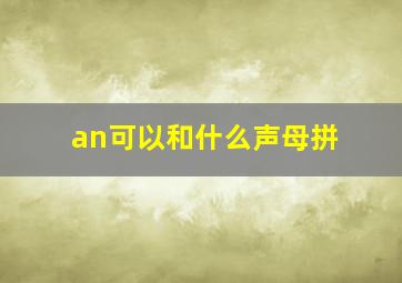 an可以和什么声母拼