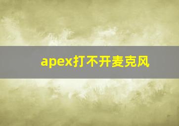 apex打不开麦克风