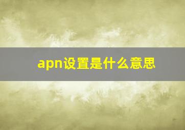 apn设置是什么意思