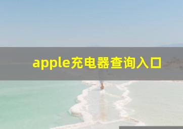 apple充电器查询入口