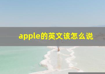 apple的英文该怎么说