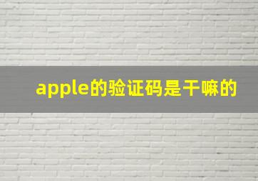 apple的验证码是干嘛的