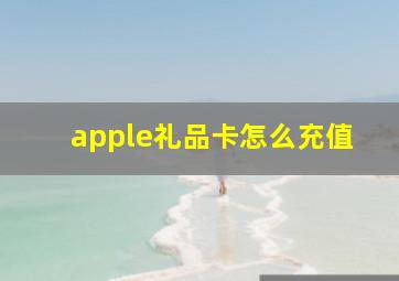 apple礼品卡怎么充值