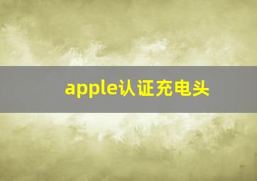 apple认证充电头