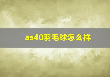 as40羽毛球怎么样