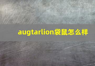 augtarlion袋鼠怎么样