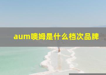 aum噢姆是什么档次品牌