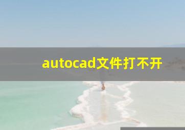 autocad文件打不开