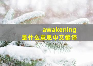 awakening是什么意思中文翻译