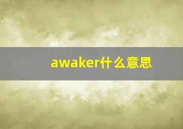 awaker什么意思