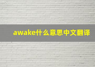 awake什么意思中文翻译