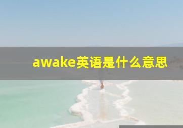 awake英语是什么意思