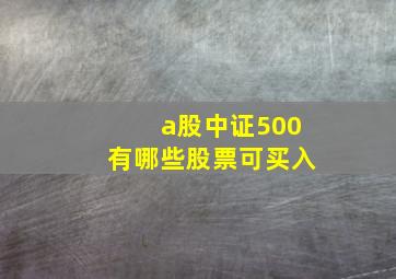 a股中证500有哪些股票可买入