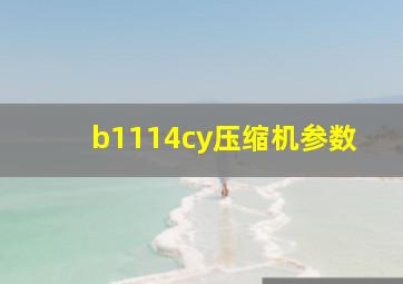 b1114cy压缩机参数