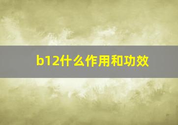 b12什么作用和功效