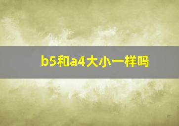 b5和a4大小一样吗