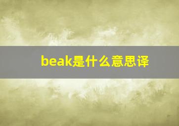 beak是什么意思译