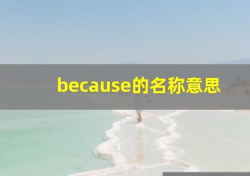 because的名称意思