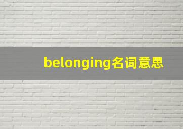 belonging名词意思