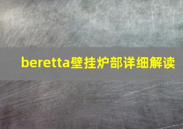 beretta壁挂炉部详细解读